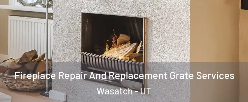 Fireplace Repair And Replacement Grate Services Wasatch - UT