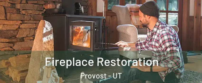 Fireplace Restoration Provost - UT