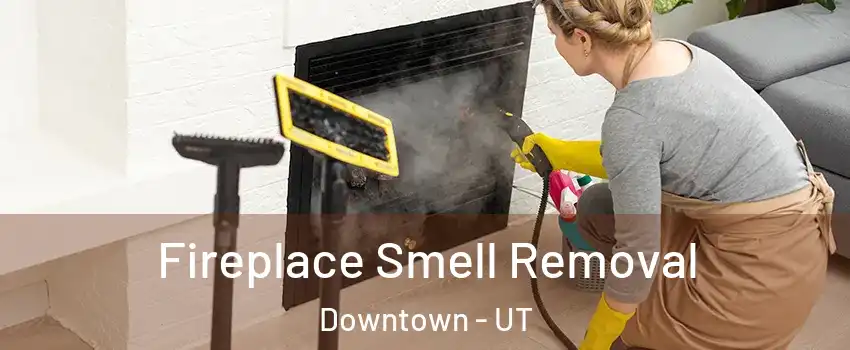 Fireplace Smell Removal Downtown - UT