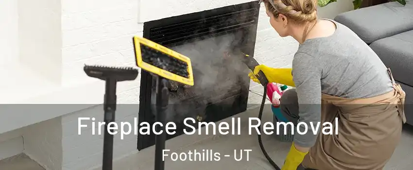 Fireplace Smell Removal Foothills - UT