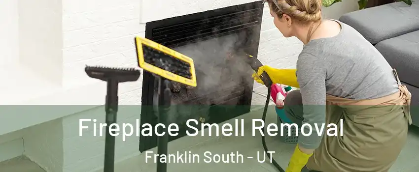 Fireplace Smell Removal Franklin South - UT
