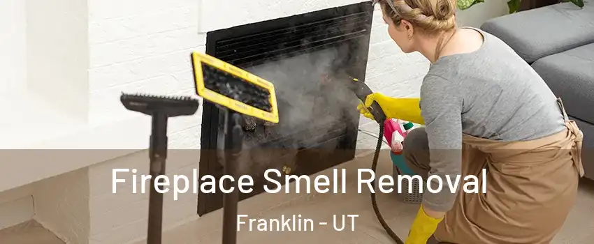 Fireplace Smell Removal Franklin - UT