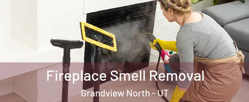 Fireplace Smell Removal Grandview North - UT