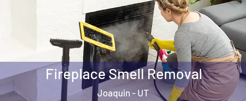 Fireplace Smell Removal Joaquin - UT