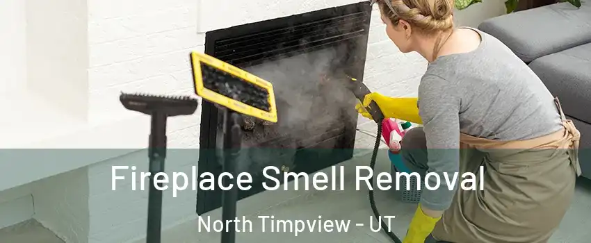 Fireplace Smell Removal North Timpview - UT