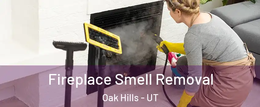 Fireplace Smell Removal Oak Hills - UT