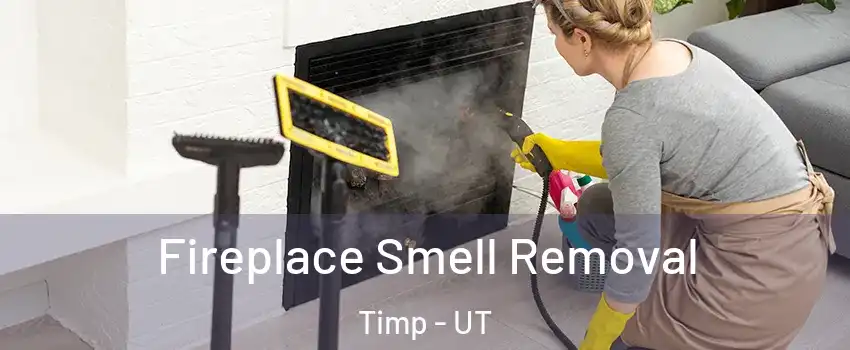 Fireplace Smell Removal Timp - UT