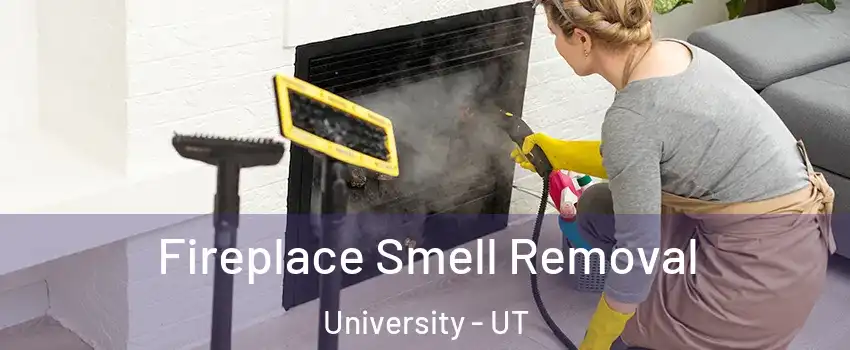 Fireplace Smell Removal University - UT