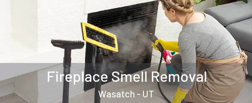Fireplace Smell Removal Wasatch - UT