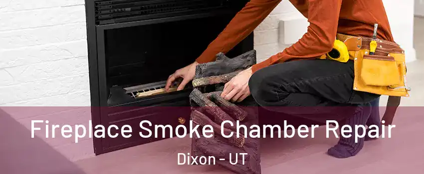 Fireplace Smoke Chamber Repair Dixon - UT