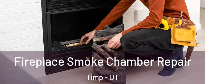Fireplace Smoke Chamber Repair Timp - UT