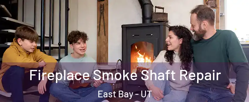 Fireplace Smoke Shaft Repair East Bay - UT