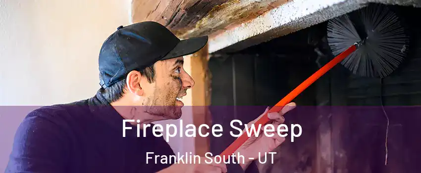 Fireplace Sweep Franklin South - UT