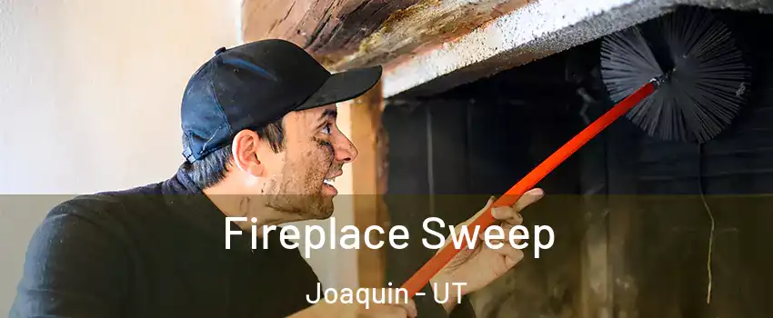 Fireplace Sweep Joaquin - UT