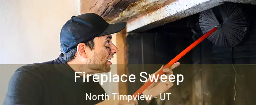 Fireplace Sweep North Timpview - UT