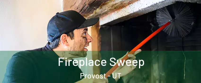 Fireplace Sweep Provost - UT