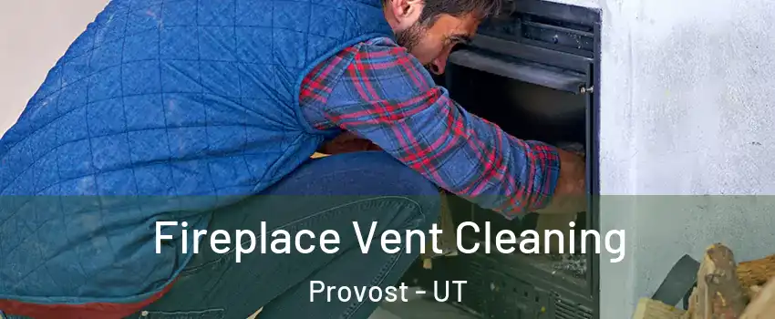 Fireplace Vent Cleaning Provost - UT