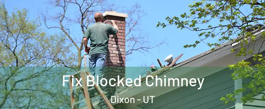 Fix Blocked Chimney Dixon - UT