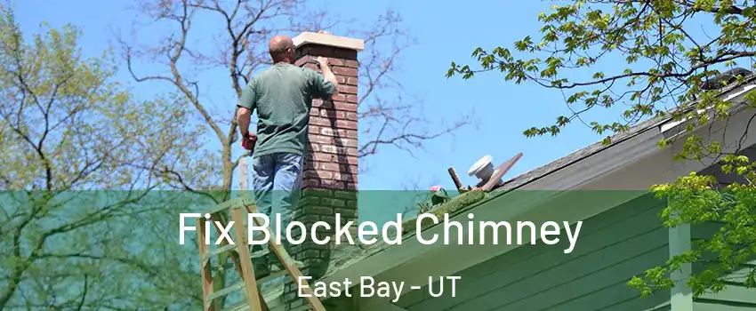Fix Blocked Chimney East Bay - UT