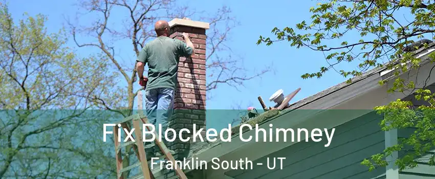 Fix Blocked Chimney Franklin South - UT