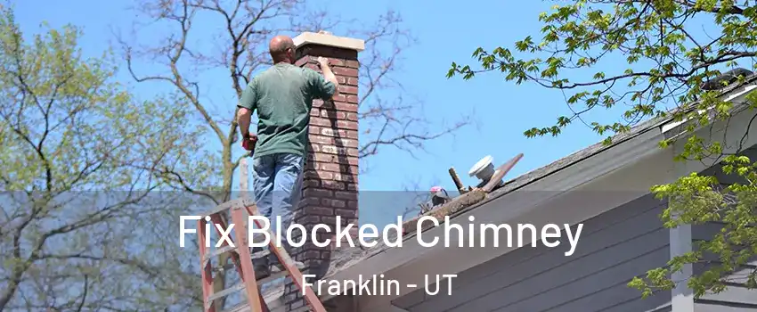 Fix Blocked Chimney Franklin - UT