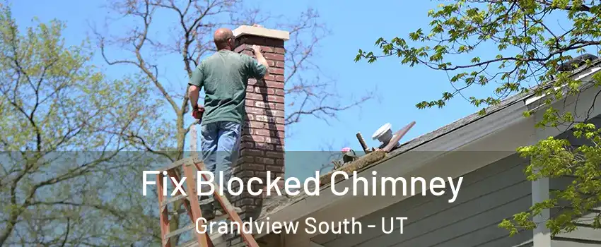 Fix Blocked Chimney Grandview South - UT