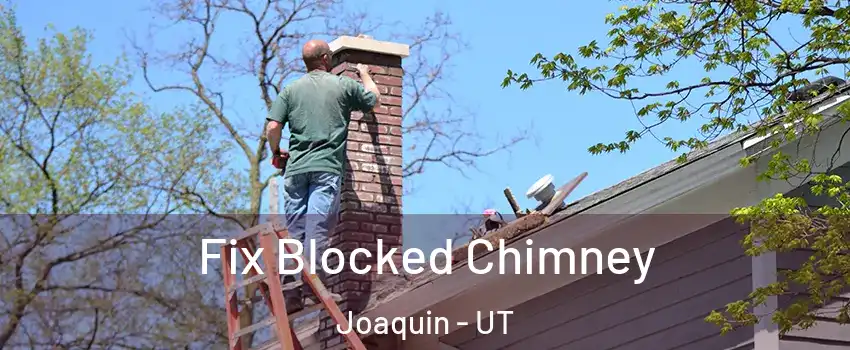 Fix Blocked Chimney Joaquin - UT