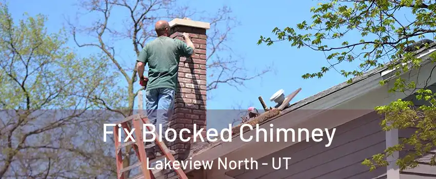 Fix Blocked Chimney Lakeview North - UT