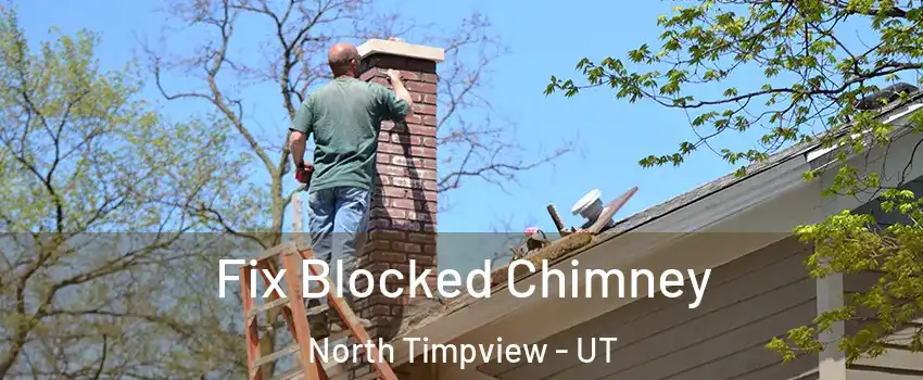 Fix Blocked Chimney North Timpview - UT