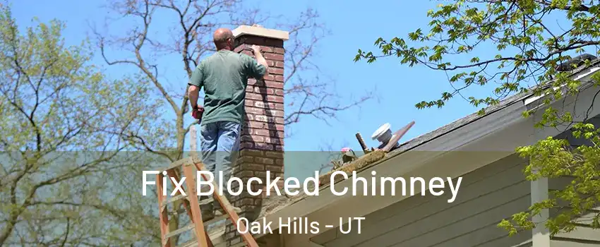 Fix Blocked Chimney Oak Hills - UT