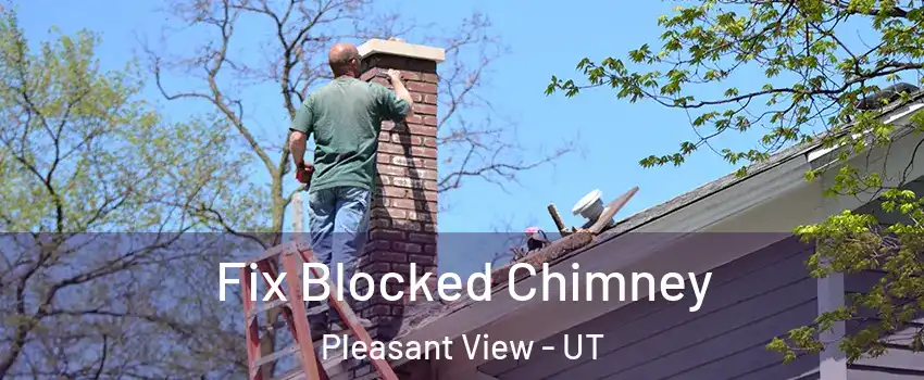 Fix Blocked Chimney Pleasant View - UT