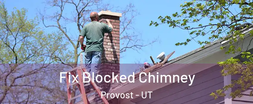 Fix Blocked Chimney Provost - UT