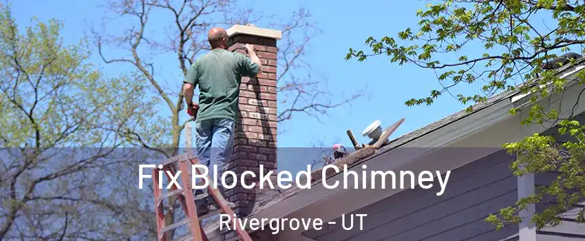 Fix Blocked Chimney Rivergrove - UT