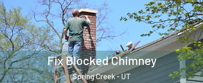 Fix Blocked Chimney Spring Creek - UT