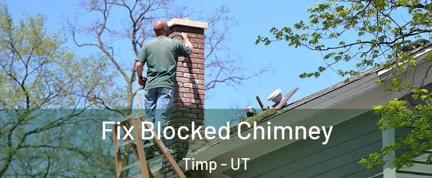 Fix Blocked Chimney Timp - UT