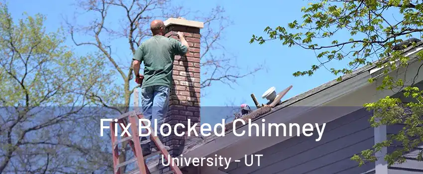 Fix Blocked Chimney University - UT