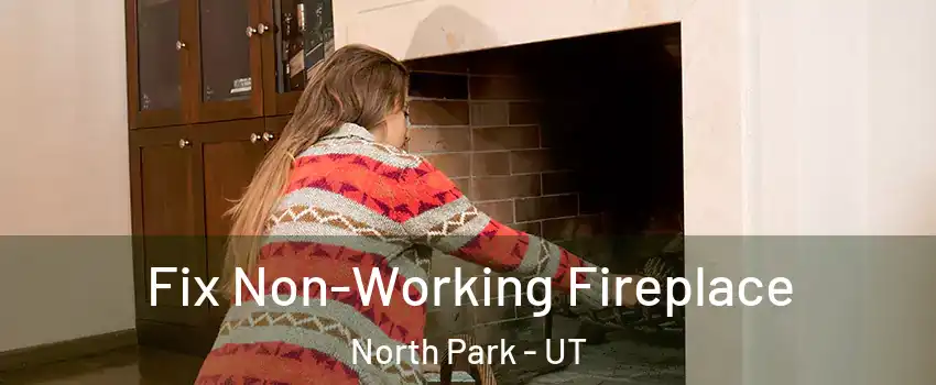 Fix Non-Working Fireplace North Park - UT