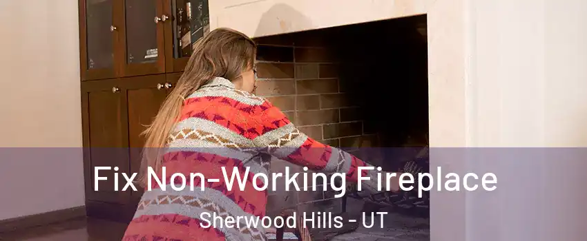 Fix Non-Working Fireplace Sherwood Hills - UT