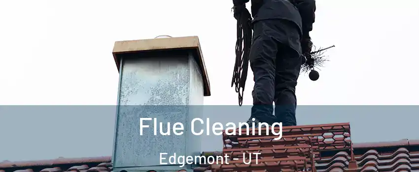 Flue Cleaning Edgemont - UT