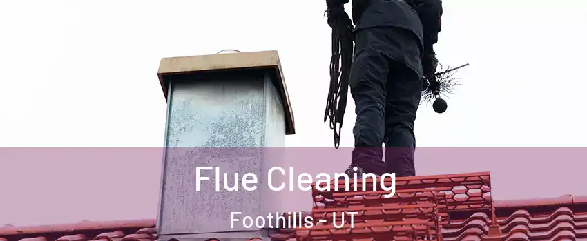 Flue Cleaning Foothills - UT