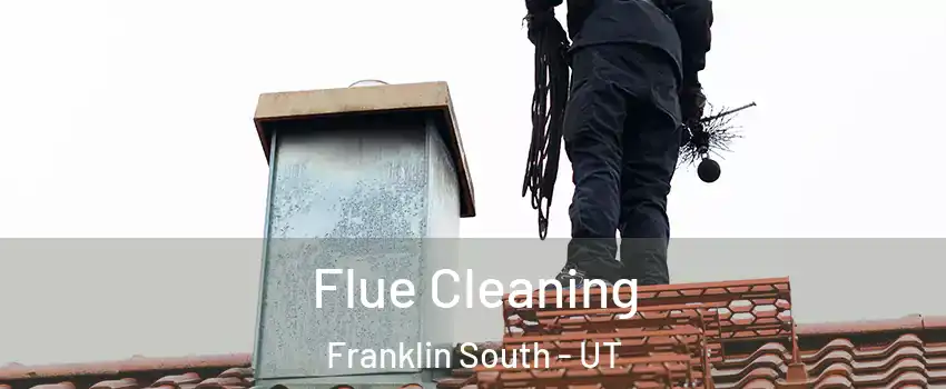 Flue Cleaning Franklin South - UT