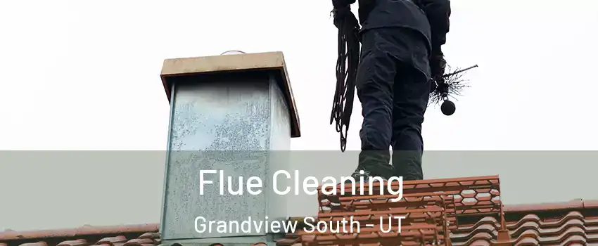 Flue Cleaning Grandview South - UT