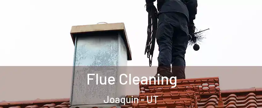 Flue Cleaning Joaquin - UT