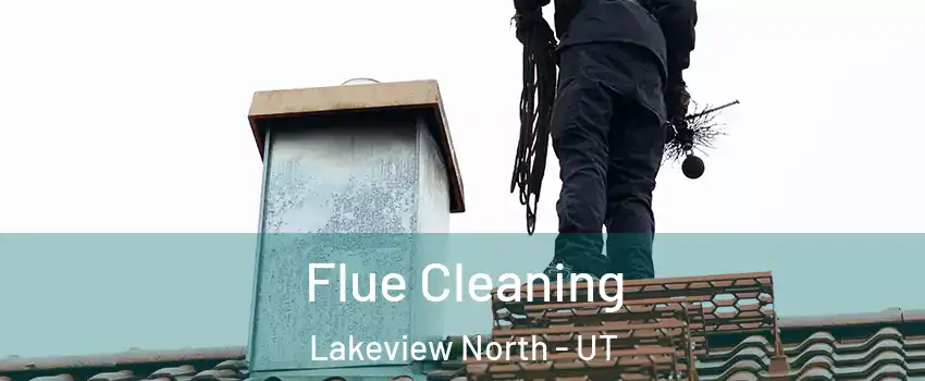 Flue Cleaning Lakeview North - UT