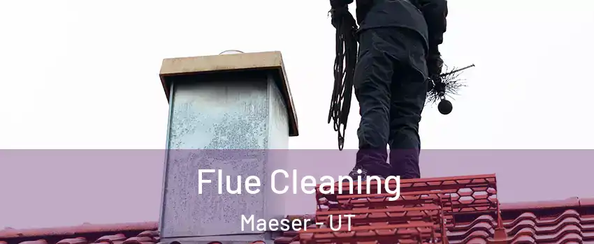 Flue Cleaning Maeser - UT