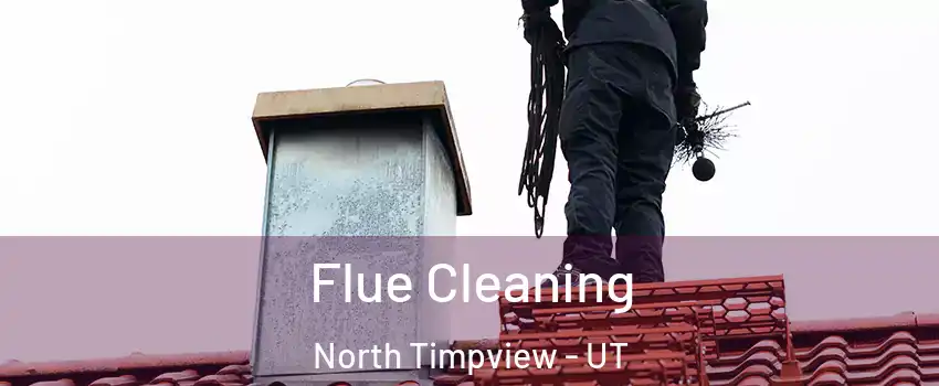 Flue Cleaning North Timpview - UT