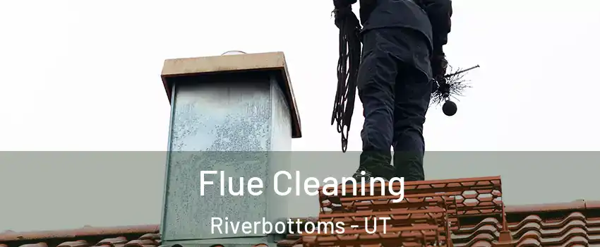 Flue Cleaning Riverbottoms - UT