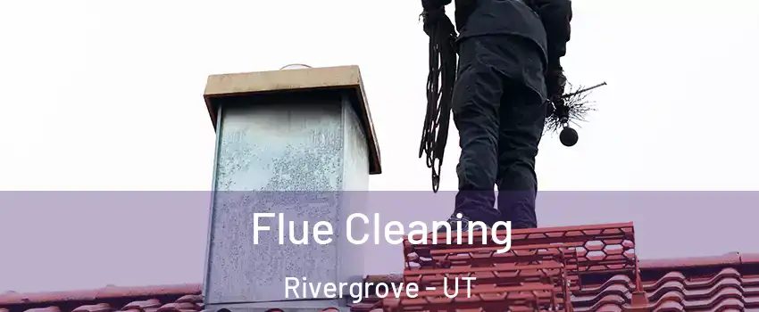 Flue Cleaning Rivergrove - UT