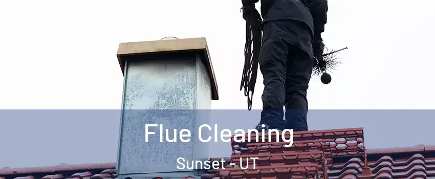 Flue Cleaning Sunset - UT