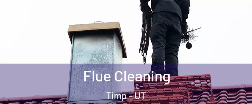 Flue Cleaning Timp - UT